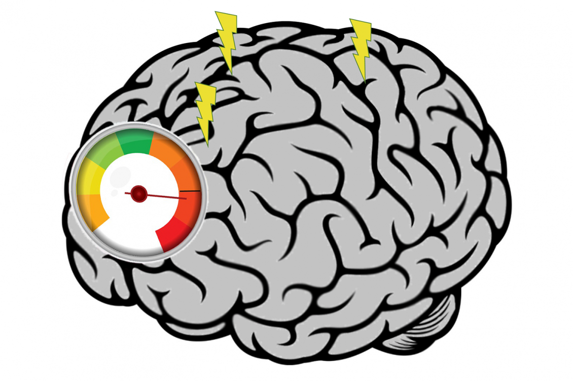 brain-gauge-memory-mit-miller-lab-00.png