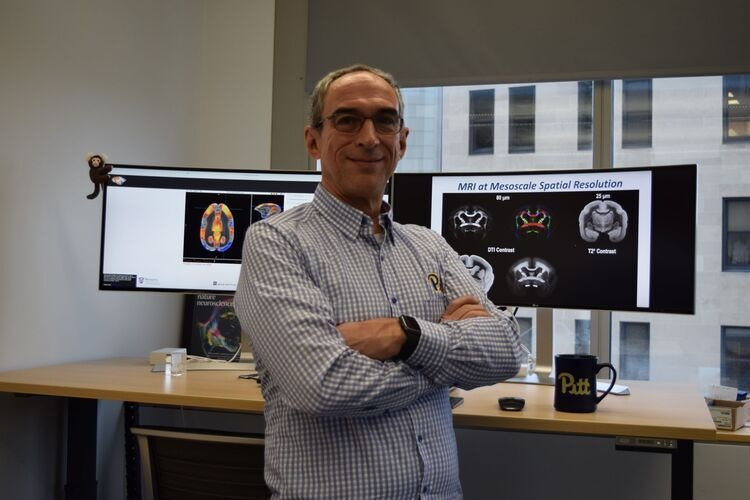 SCSB Colloquium Series: Dr. Afonso C. Silva, University of Pittsburgh Brain Institute