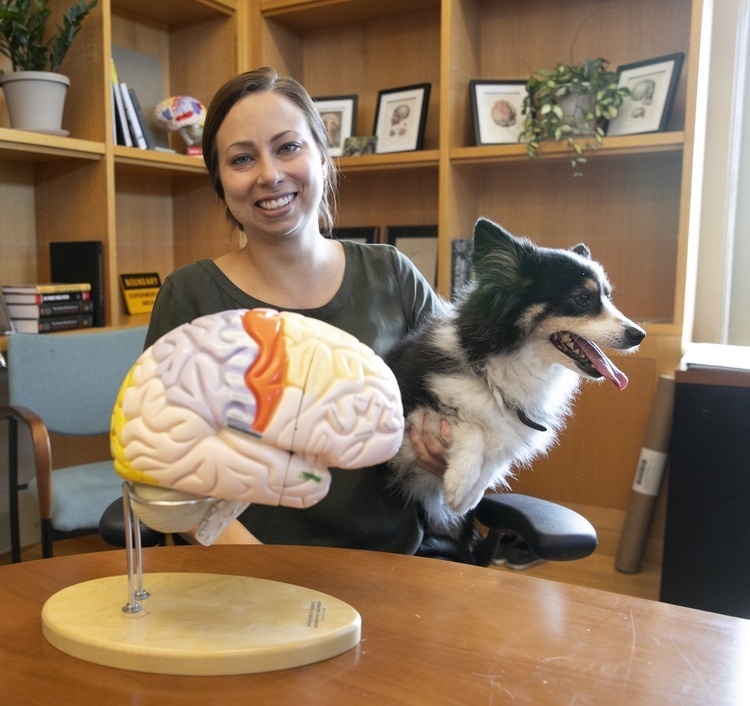 SCSB Colloquium with Dr. Erin Hecht: Domestic dogs as a window on nature and nurture in mammalian brain evolution