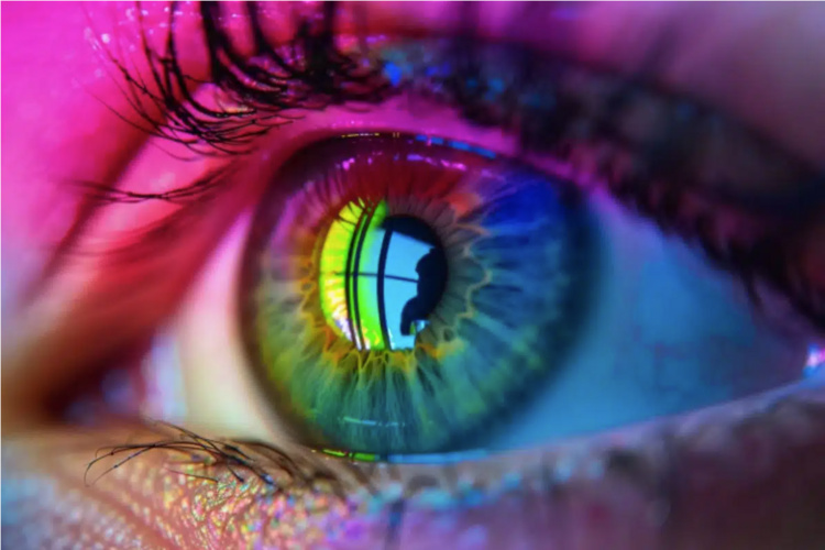 The Phenomenon of Color