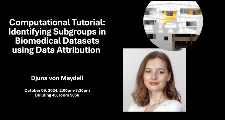 Computational Tutorial: Identifying Subgroups in Biomedical Datasets using Data Attribution 