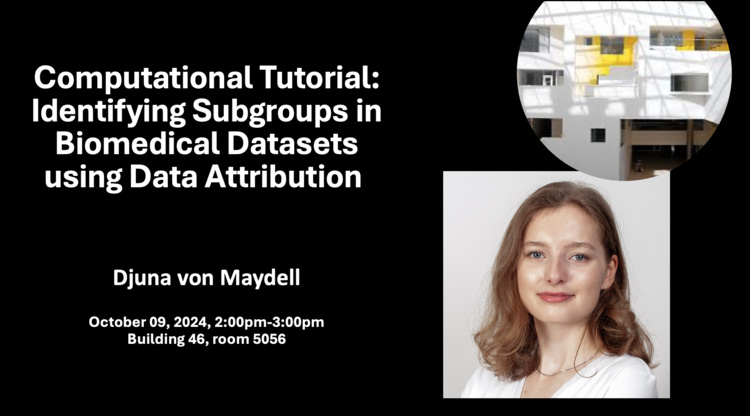 Computational Tutorial: Identifying Subgroups in Biomedical Datasets using Data Attribution 