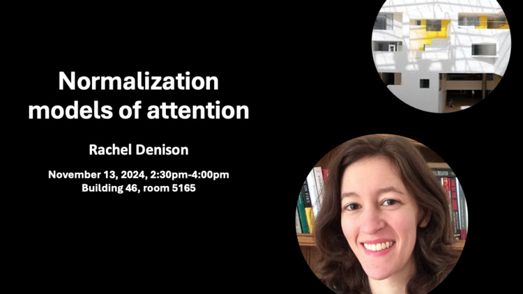 Normalization models of attention