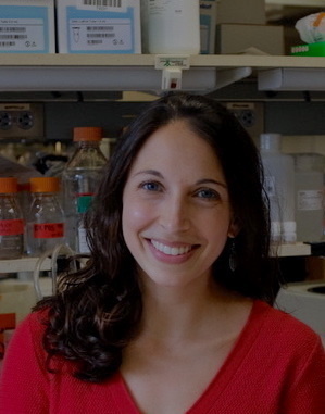 Special Seminar with Elizabeth Pollina, PhD, "An activity-dependent NPAS4 complex couples transcription to DNA repair to promote neuronal plasticity"