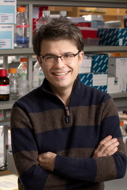 SCSB Colloquium Series with Dr. Nenad Sestan: Development and Evolution of Human Cognitive Networks