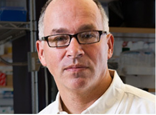Molecular and Cellular Neuroscience Program Seminar - Gord Fishell (Harvard Medical School) Title: Making up your mind: the integration of interneurons into cortical circuits