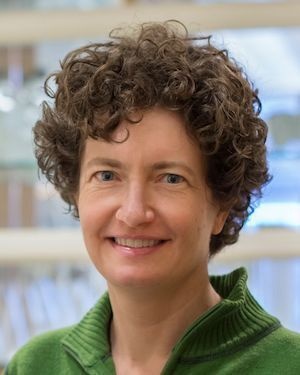 Molecular and Cellular Neuroscience Seminar - Rachel Wilson (Harvard Medical School) Title: Neural networks for navigation.