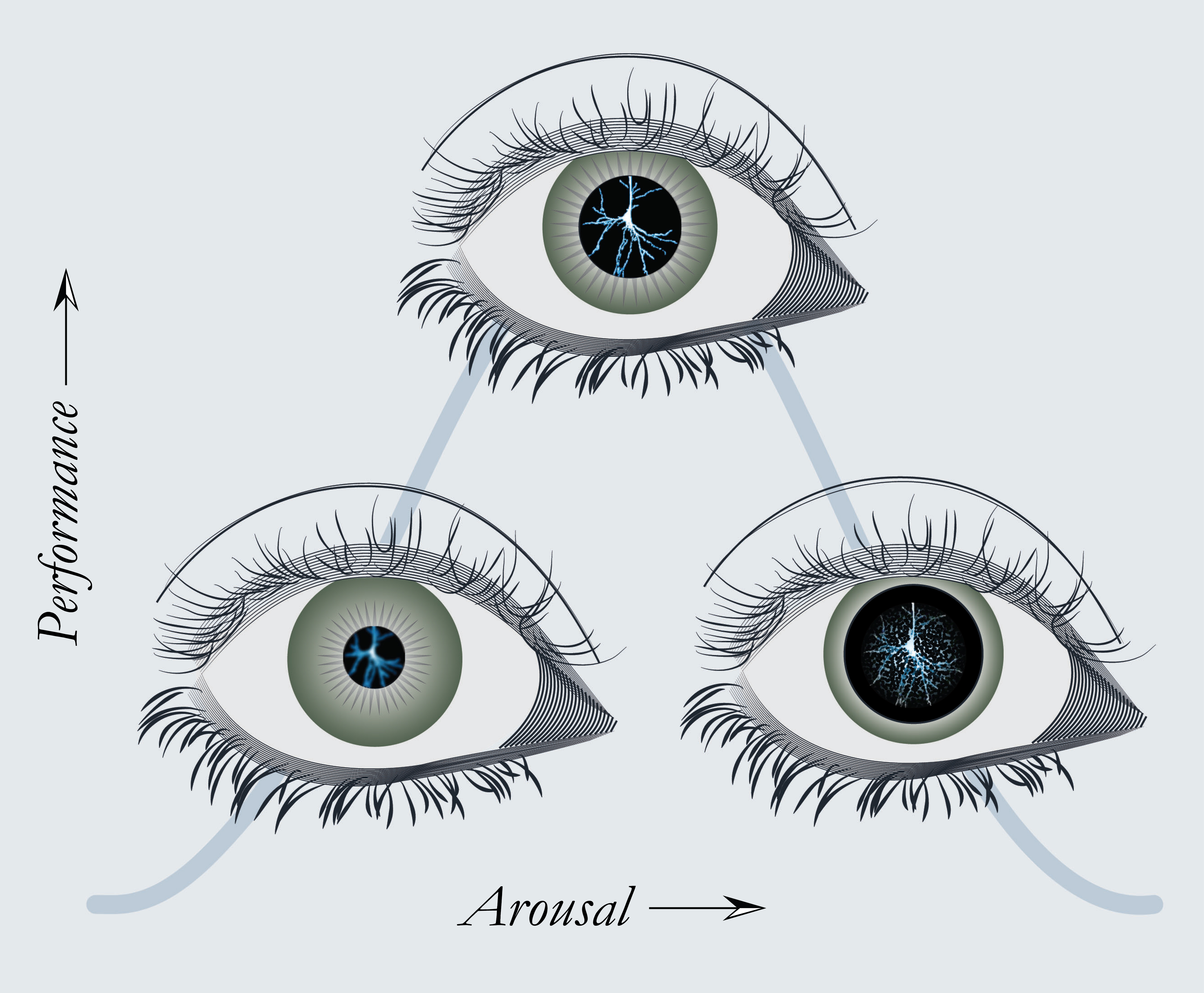 1.12 - McGinley_Research_Image.jpg