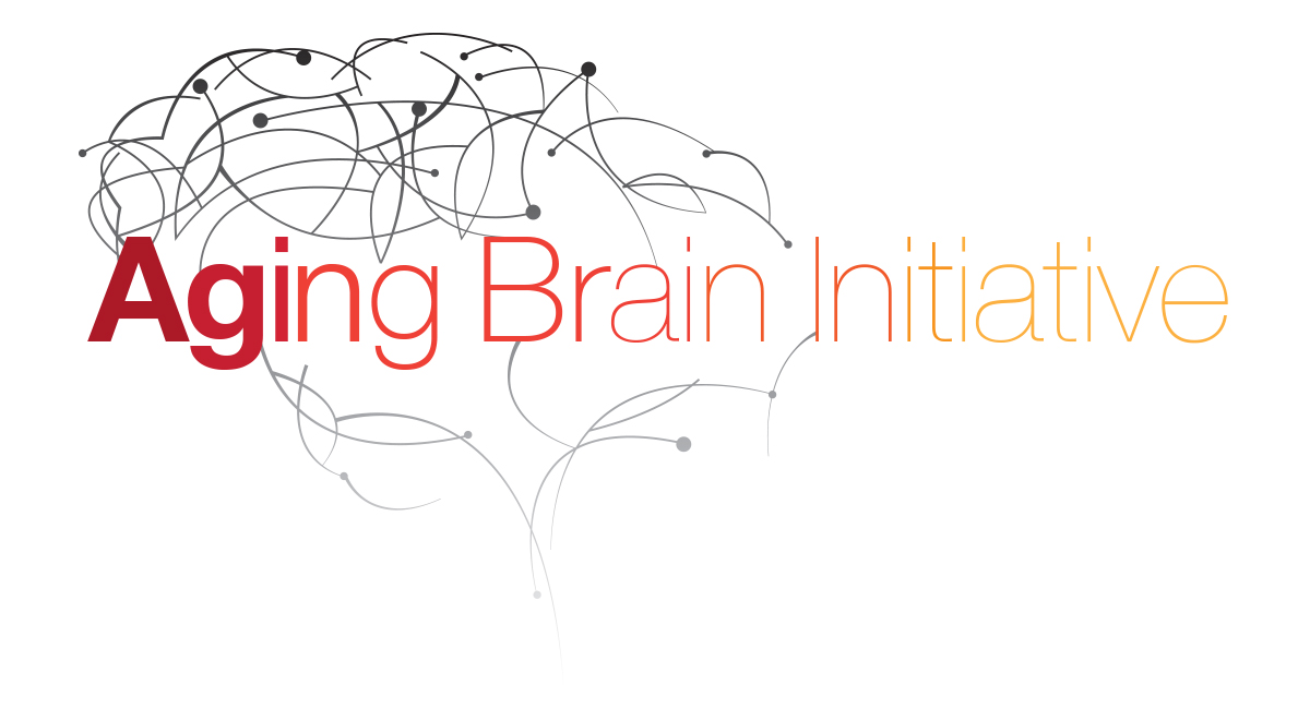 AgingBrainInitiative_3.jpg