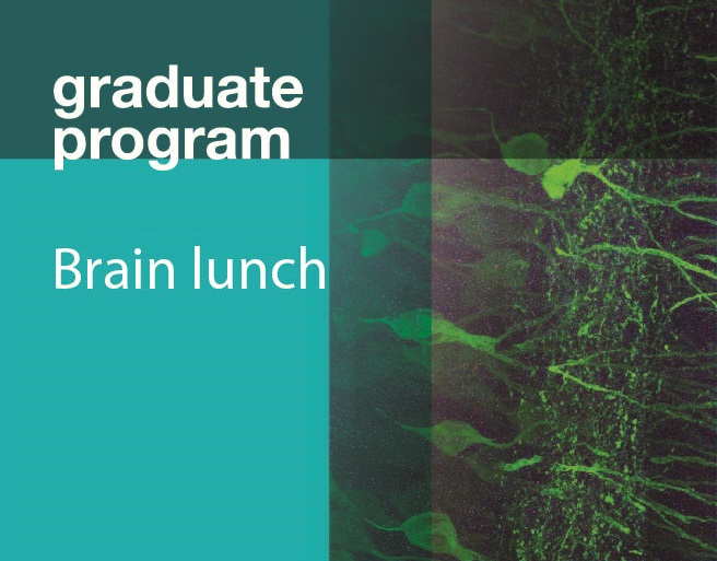 Brain lunch graphic.jpg