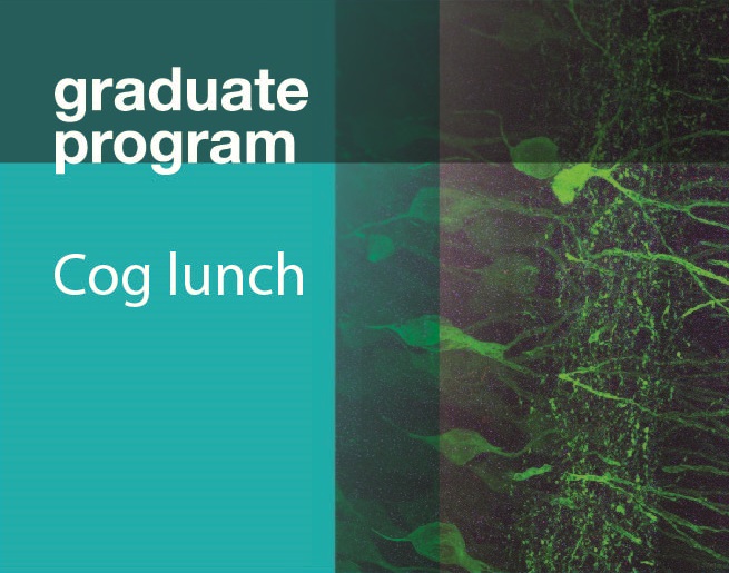 Cog lunch graphic.jpg