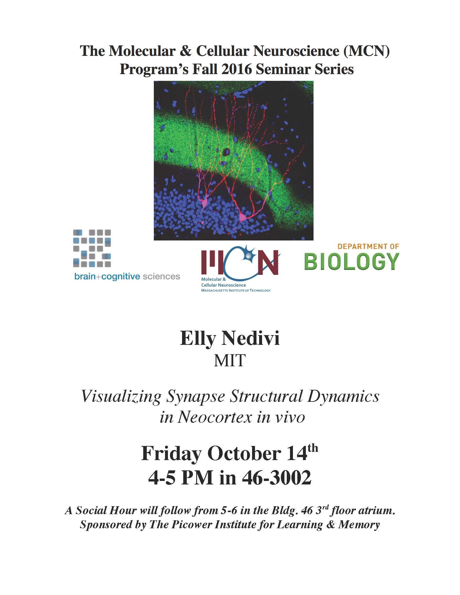 Nedivi Poster 10-14-2016.jpg