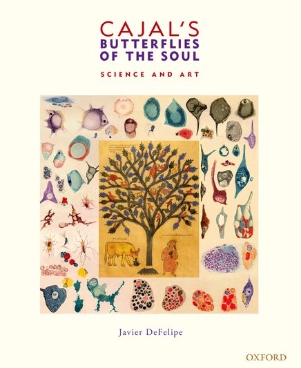 butterflies_Cover.jpeg