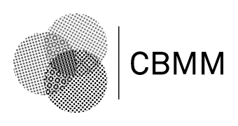 CBMM Special Seminar: Panel Discussion on the relationship between ...