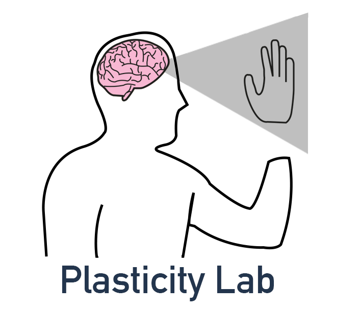 plasticity-lab.png