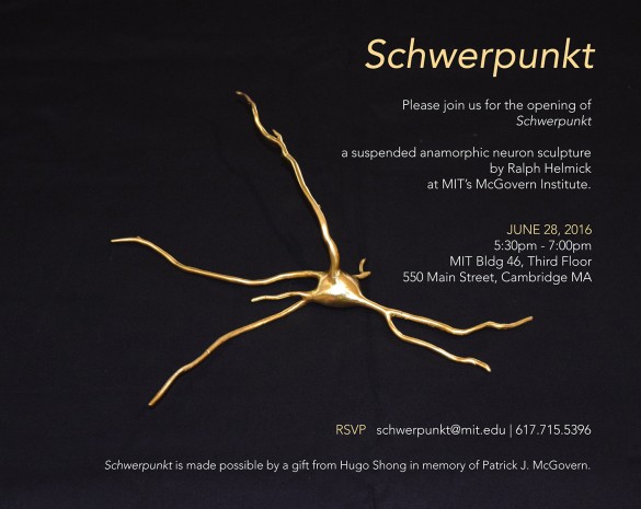 schwerpunkt2-585x465.jpg