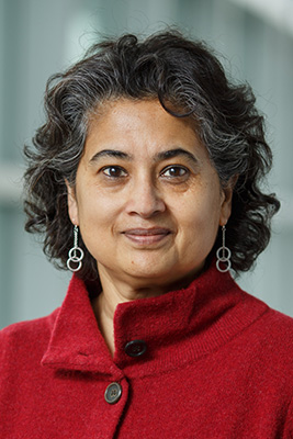 sengupta_400h-b.jpg