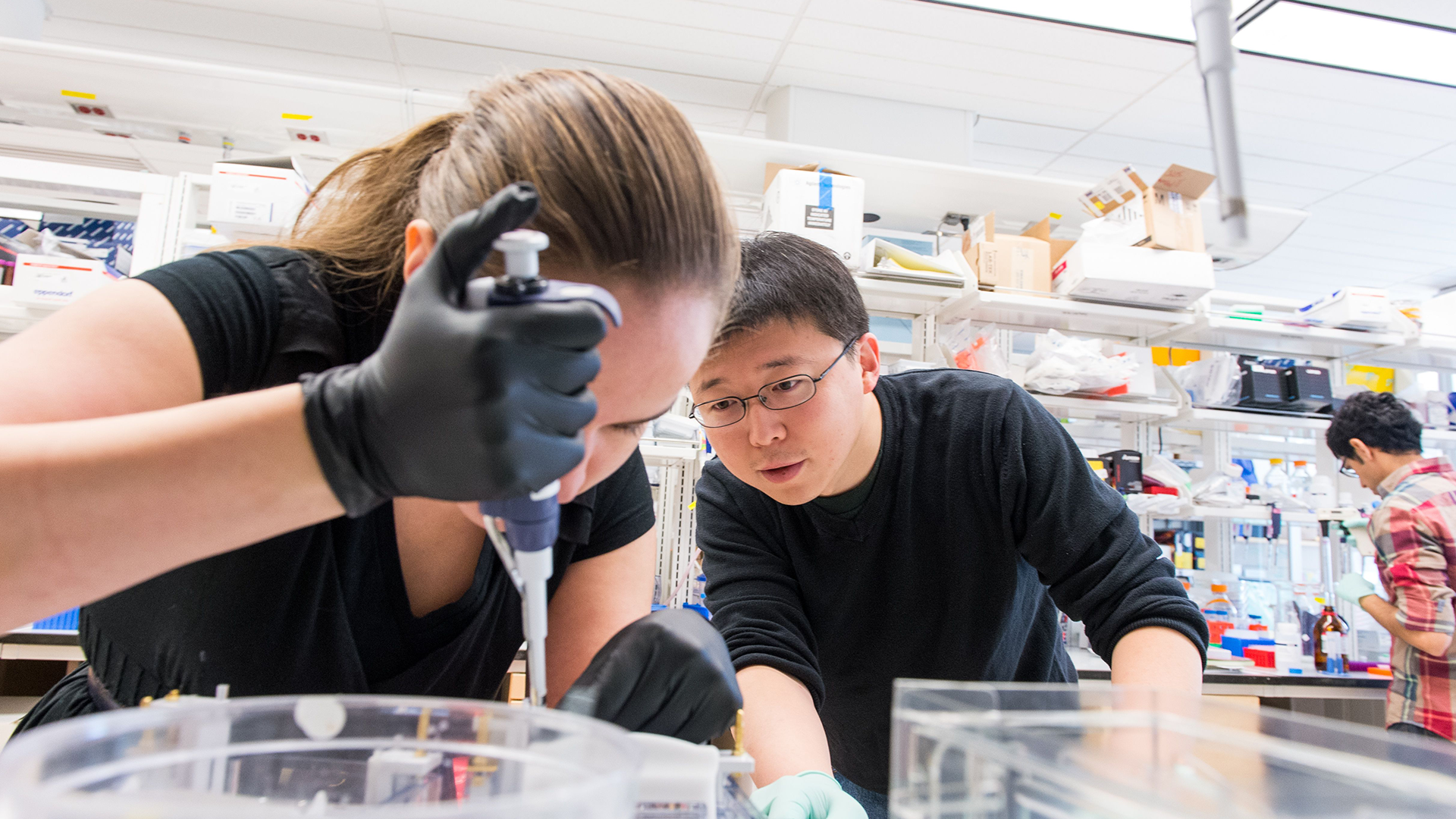 Professor Feng Zhang working in the lab with a young female researcher