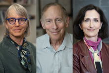 Nancy Kanwisher, Robert Langer, and Sara Seager named Kavli Prize Laureates