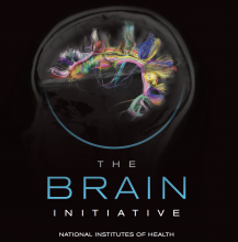Brain-Initiative.png