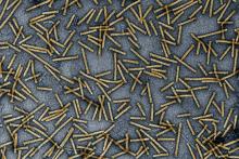 Bacterial injection system delivers proteins in mice and human cells