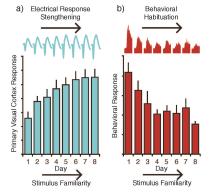 In his own words - Dustin Hayden essay photo.jpg