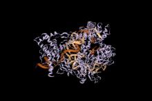 MIT-CRISPR-Cas12b.jpg