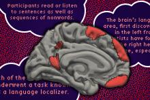 The brain’s language network is more extensive than previously thought