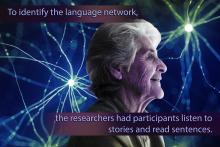Language skills stay strong in older adults, even while other cognitive abilities decline