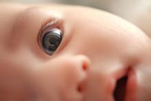 Study: Babies’ poor vision may help organize visual brain pathways