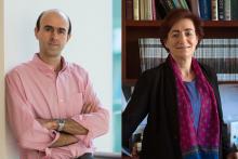 MIT-school-of-science-awards-mehrdad-jazayeri-hazel-sive.jpg