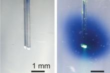 Controlling drug activity with light