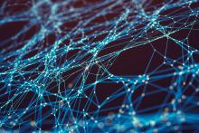 Neurons receive precisely tailored teaching signals as we learn