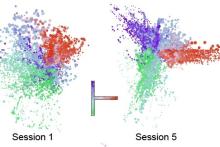 Study suggests how the brain, with sleep, learns meaningful maps of spaces