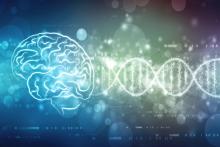 Alzheimer’s erodes brain cells’ control of gene expression, undermining function, cognition