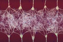 How visual learning happens in the brain