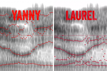 mit-mcgovern-neuroscience-laurel-yanny-2018_0.png