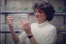 Documentary short, “The Uprising,” showcases women in science who pressed for equal rights at MIT in the 1990s