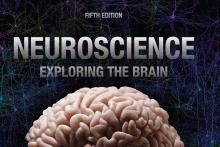 How an MIT professor introduced hundreds of thousands of students to neuroscience