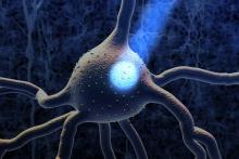 optogenetics-stimulation.jpg