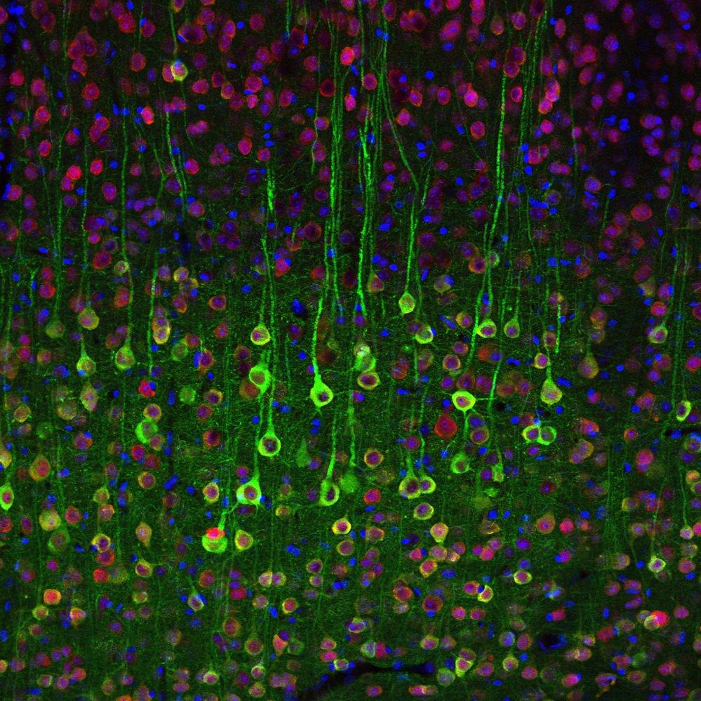 20121017113801-0.jpg 20121017113801-0.jpg