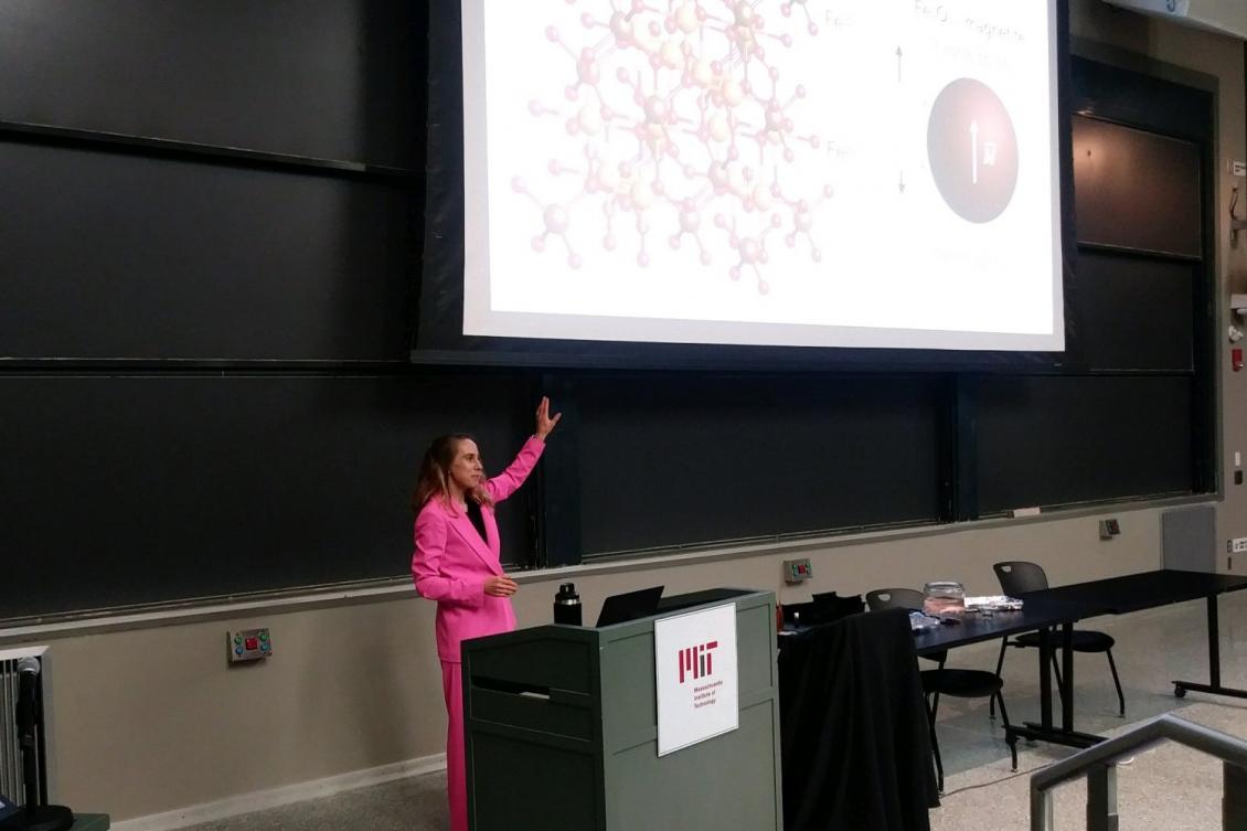 Is it neuroscience? Chemistry? Art? Wulff Lecture shows versatility, diversity in materials science