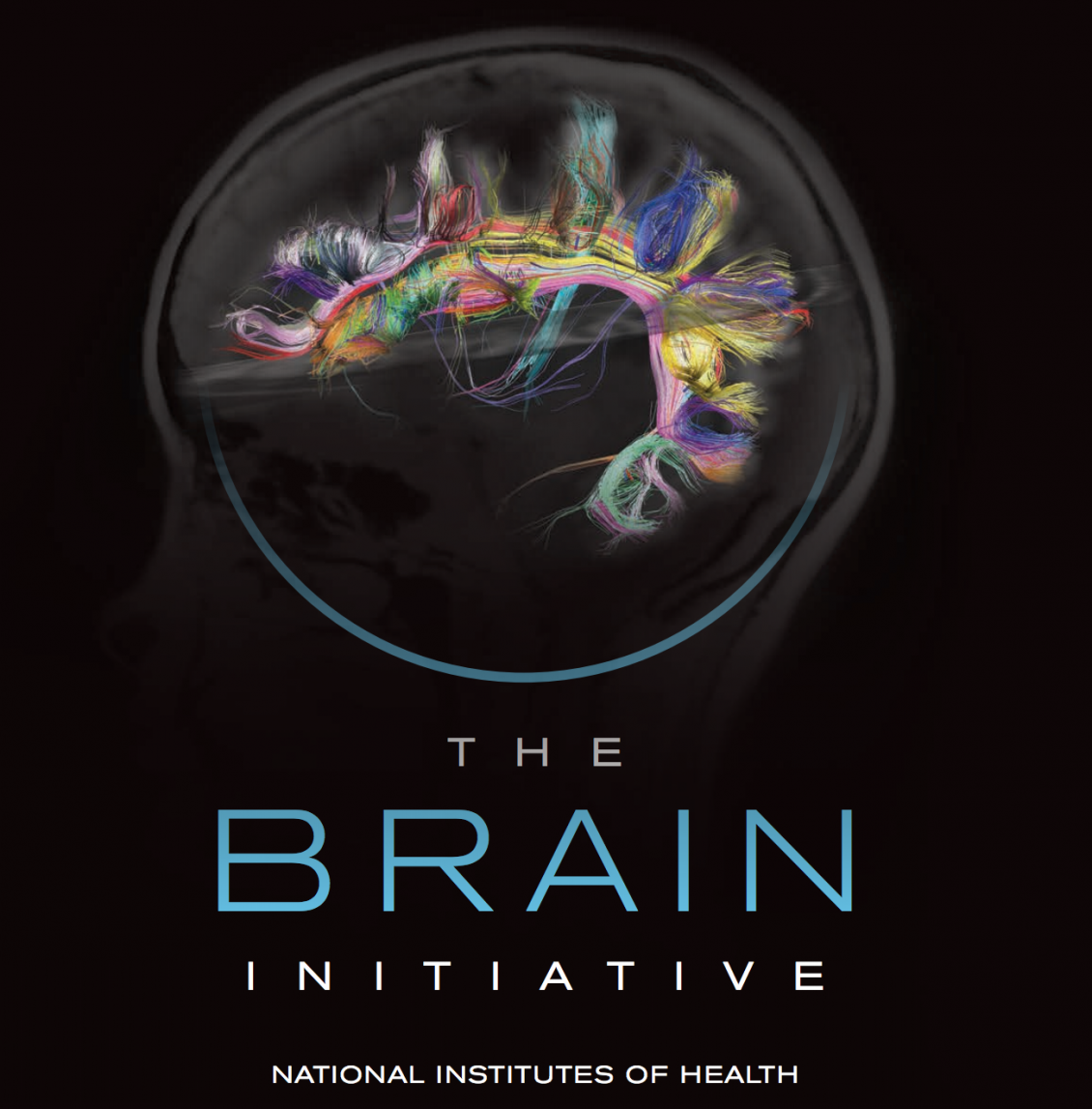 Brain-Initiative.png Brain-Initiative.png