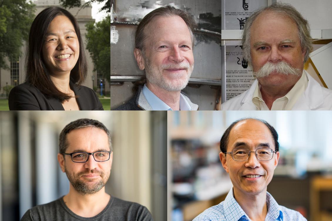 Five MIT Faculty Elected 2021 AAAS Fellows | Brain And Cognitive Sciences