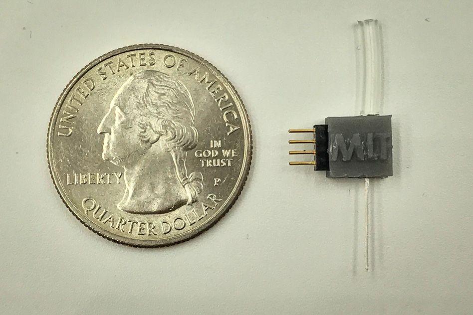 MIT-Brain-Electro-01_1.jpg MIT-Brain-Electro-01_1.jpg