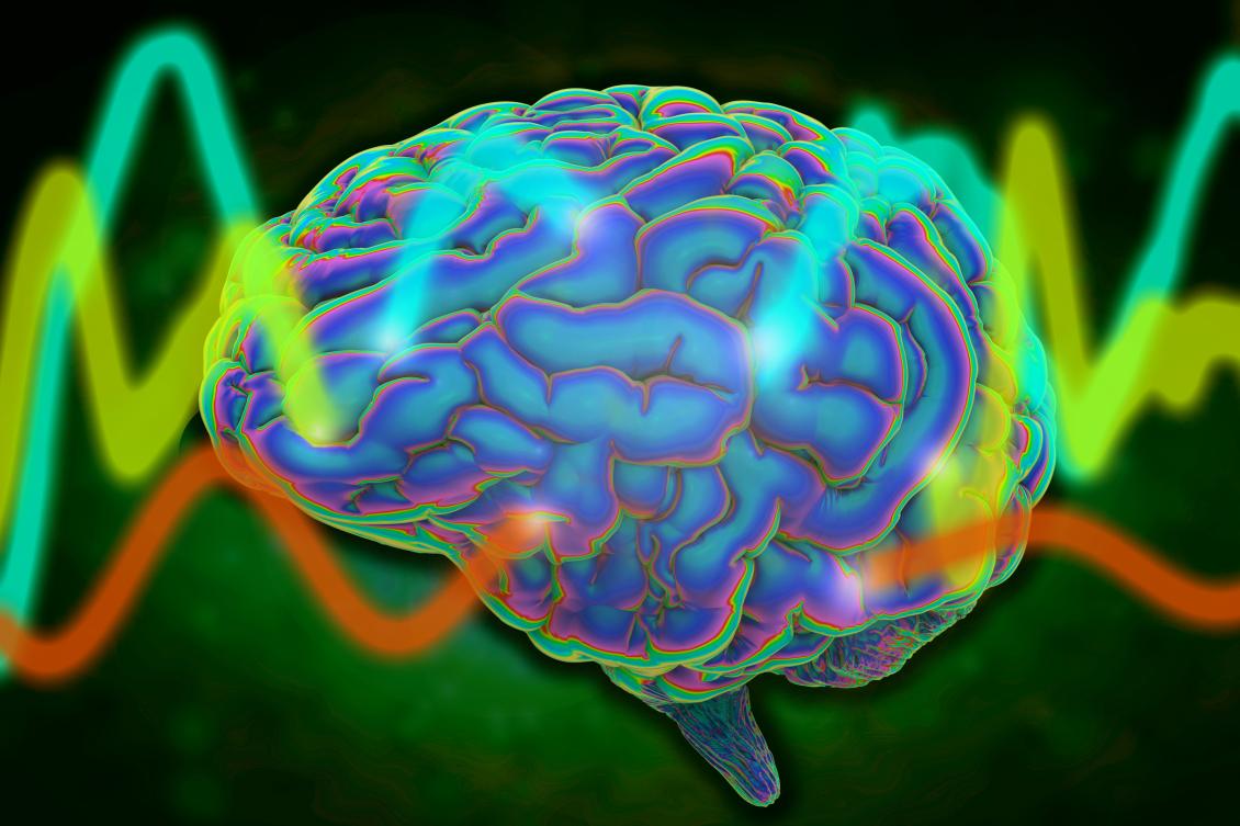 Study reveals a universal pattern of brain wave frequencies Study reveals a universal pattern of brain wave frequencies