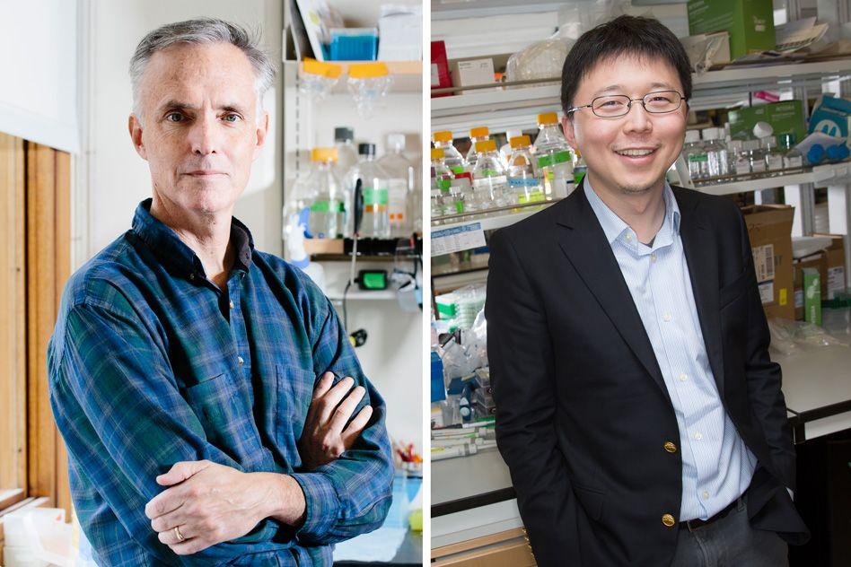 MIT-CRISPR-Collins-Zhang-1.jpg MIT-CRISPR-Collins-Zhang-1.jpg