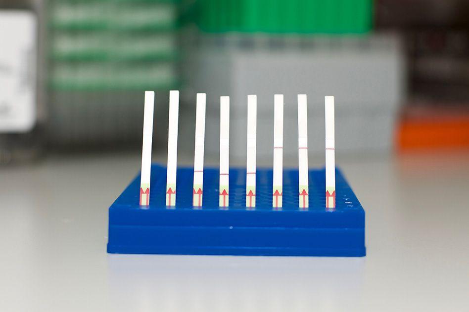 MIT-CRISPR-Sherlock-01.jpg MIT-CRISPR-Sherlock-01.jpg