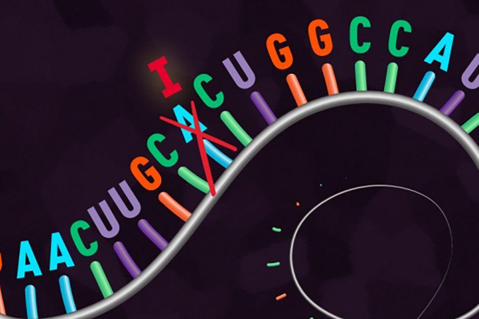 MIT-CrisprRNA.jpg