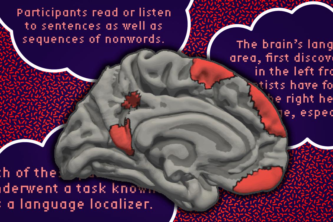 The brain’s language network is more extensive than previously thought